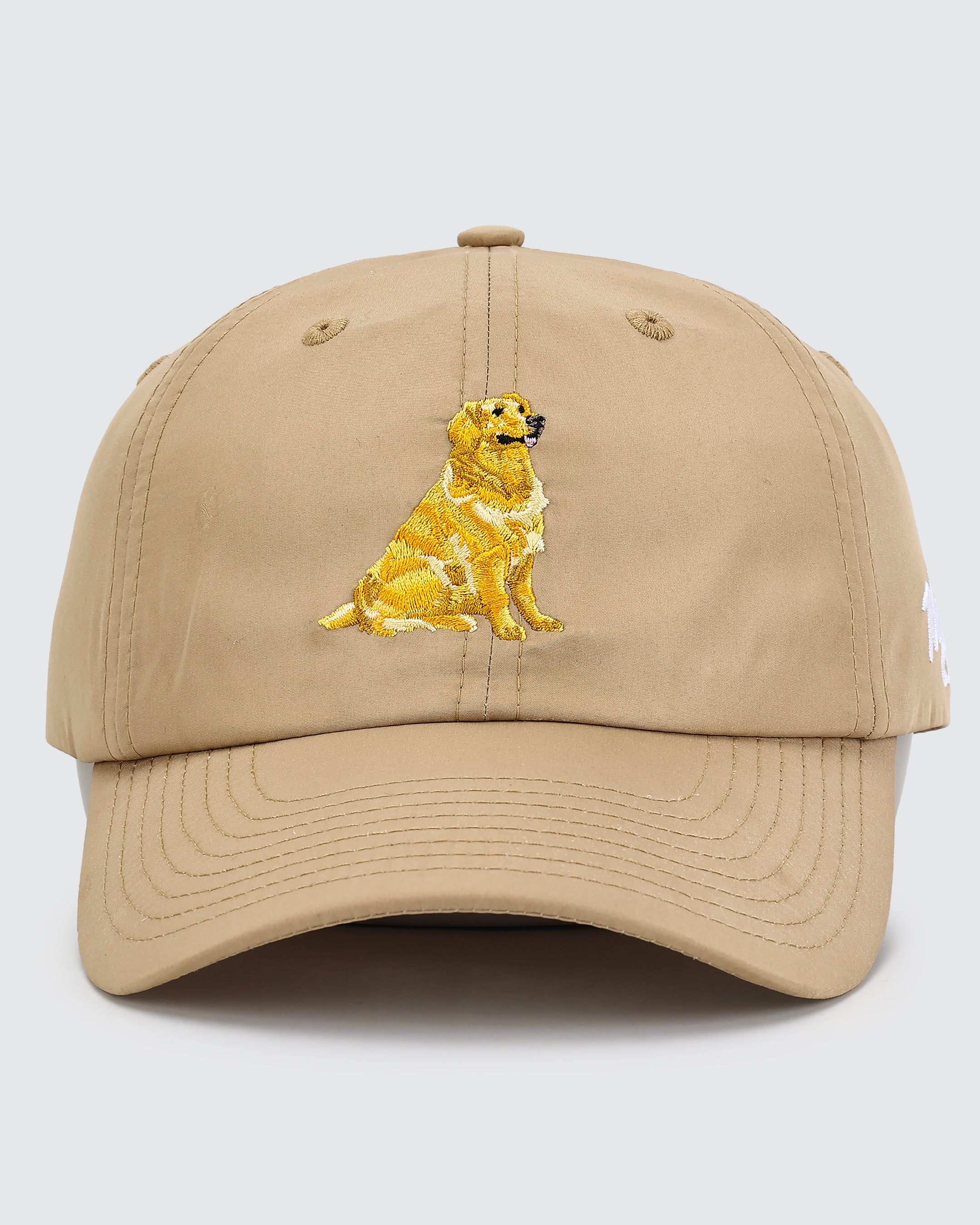 Golden Flight Hat